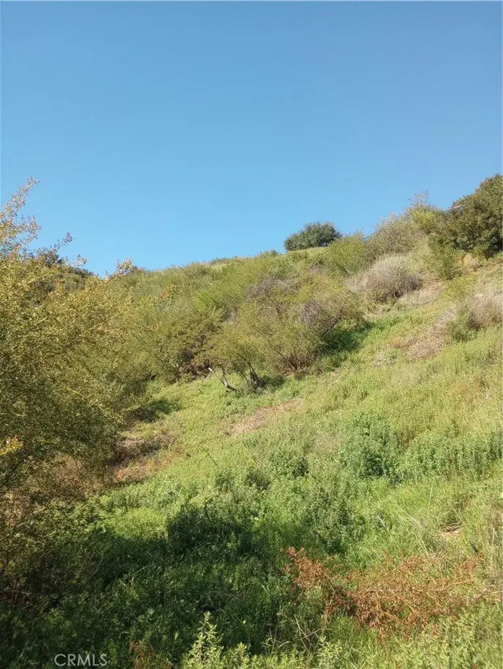 Old Chimney, Malibu