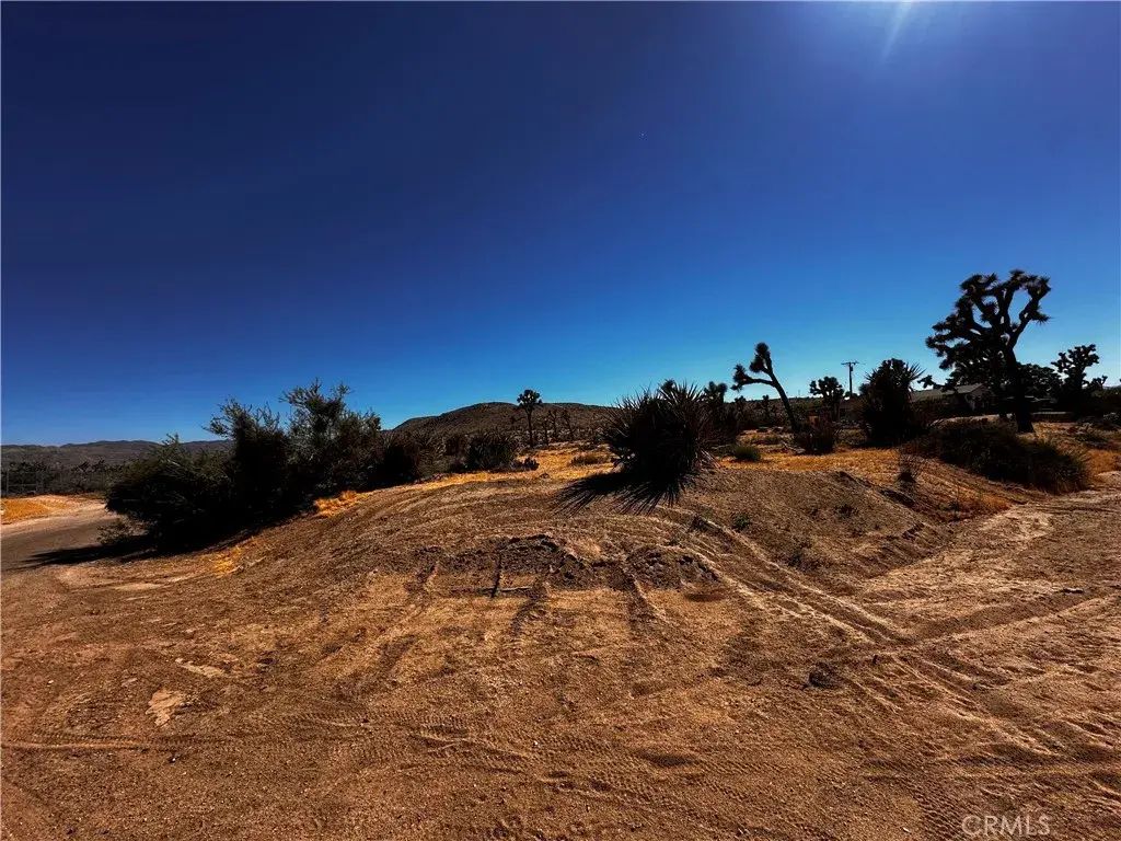 Campero, Yucca Valley