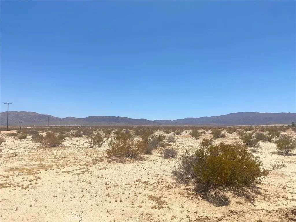 Mojave, 29 Palms