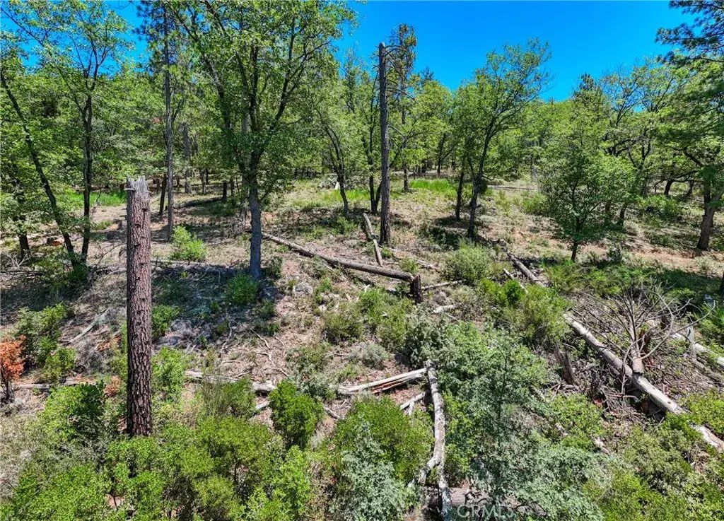 12548 Observation, Middletown
