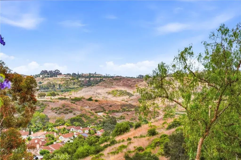 29 Fleurance Street, Laguna Niguel