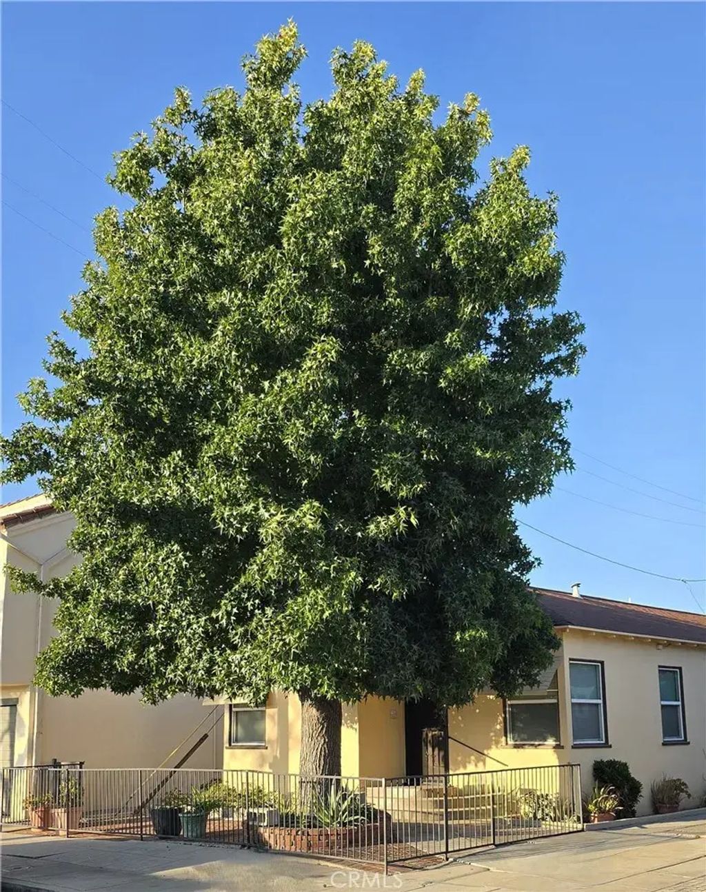 5724 California, Long Beach