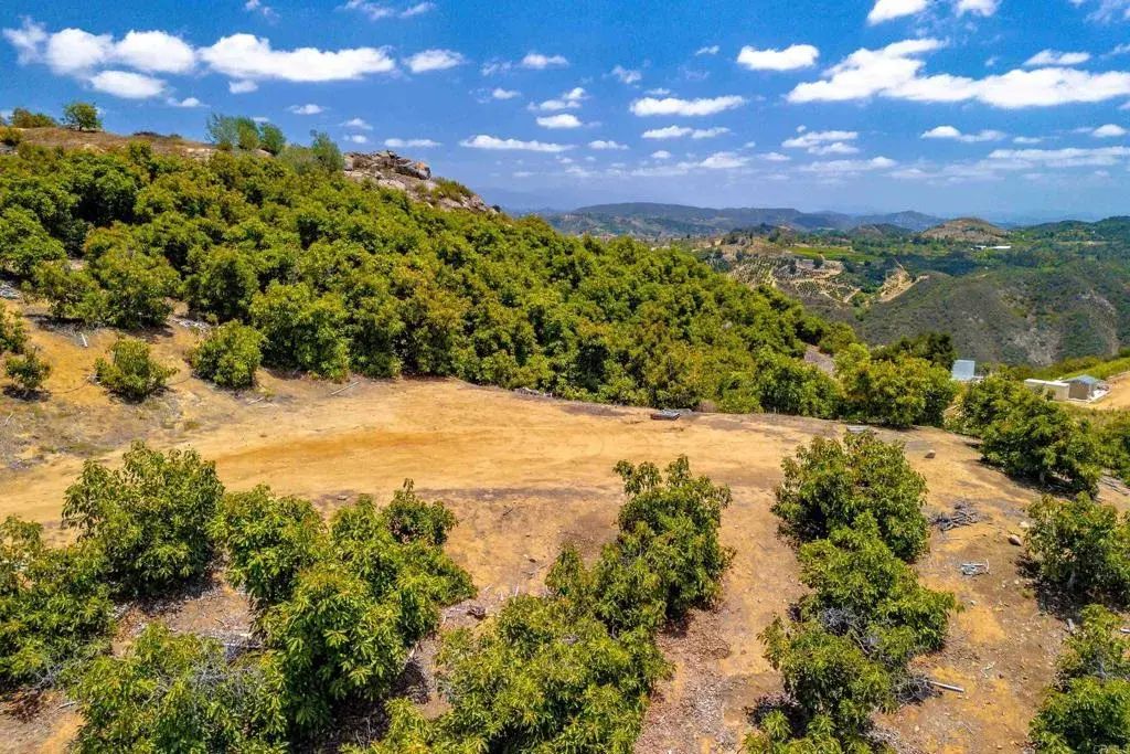 1 Los Gatos, Temecula