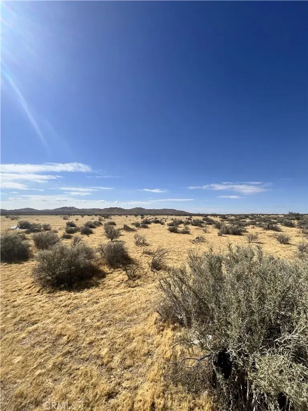 Navajo, Apple Valley