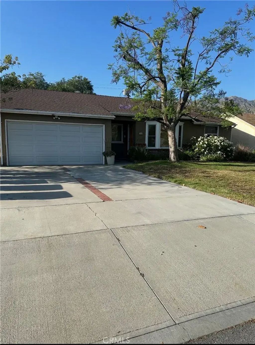 1903 Rosita, Burbank