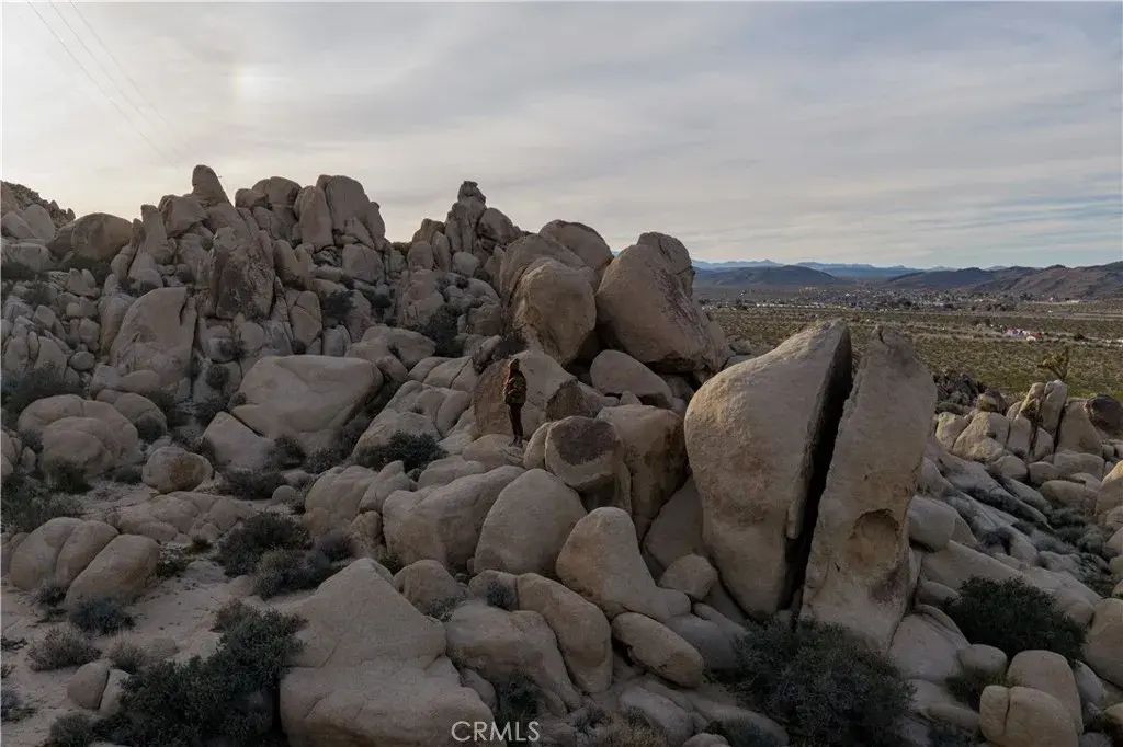 63251 Chickasaw, Joshua Tree