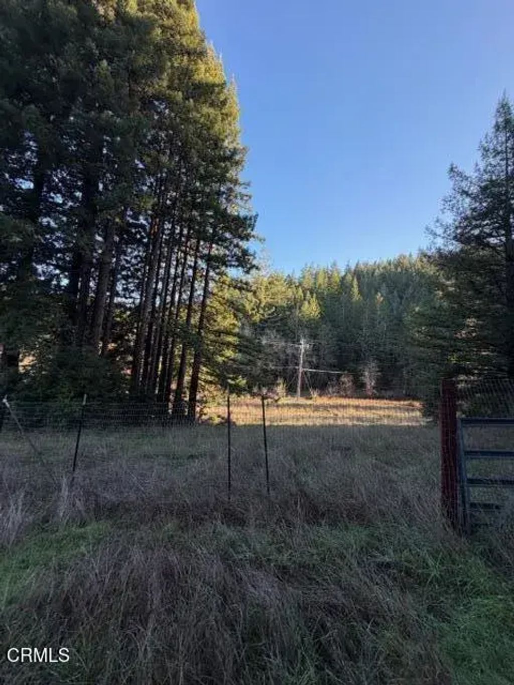 7800 Flynn Creek, Comptche