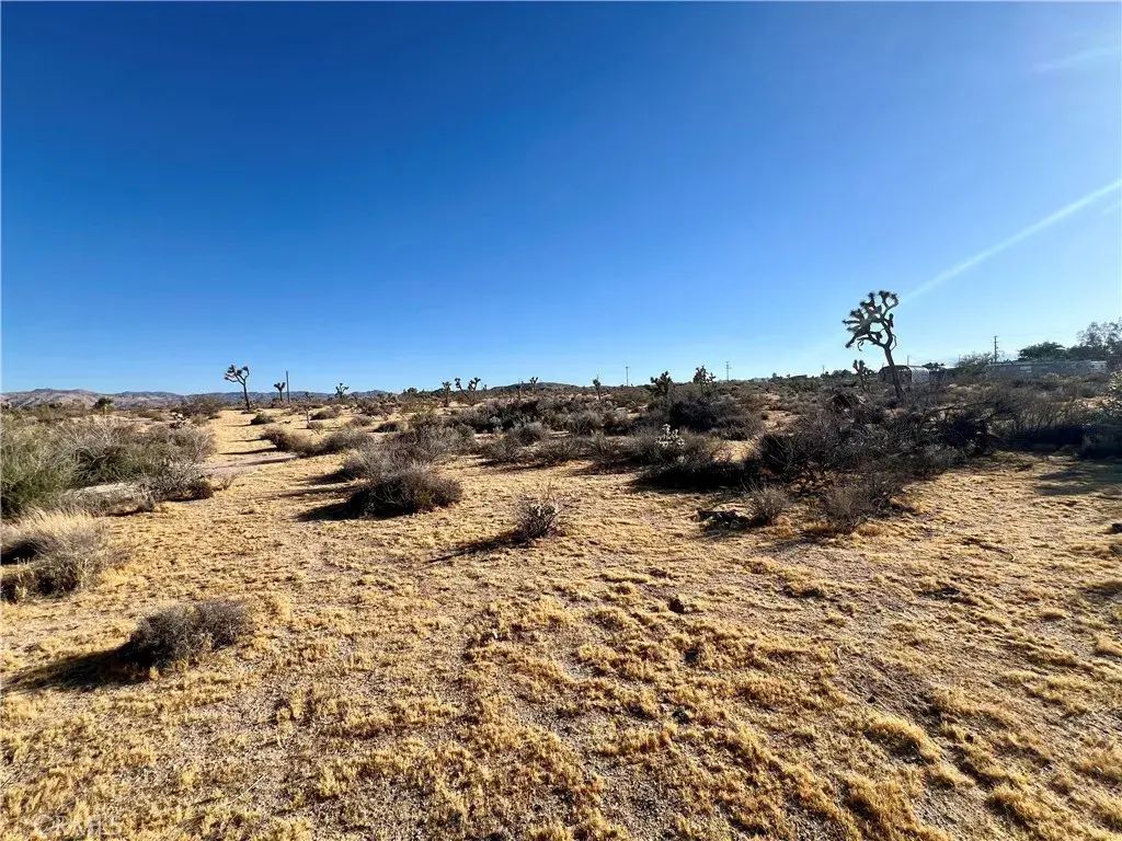 Anita, Yucca Valley