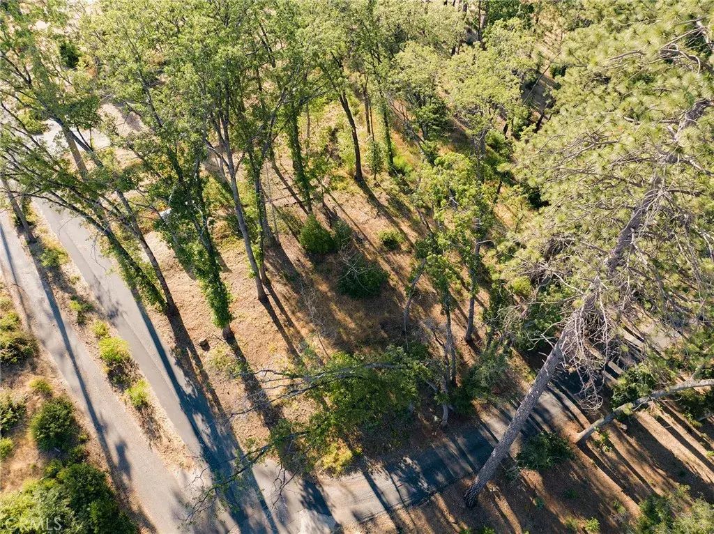 1837 Clear Brook, Paradise