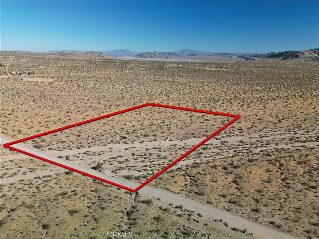 Bodick, Johnson Valley