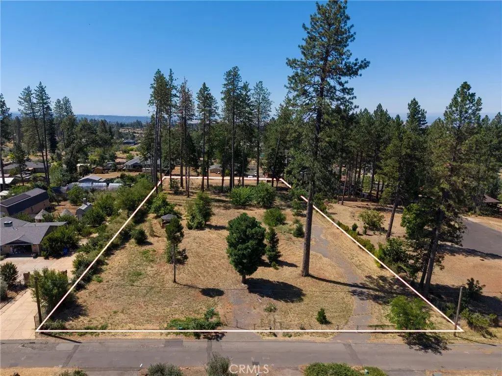 1368 Brill, Paradise