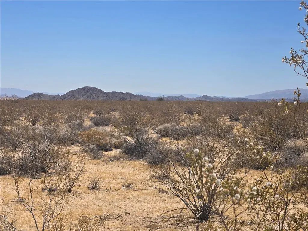 1577 Mcgarry, Joshua Tree