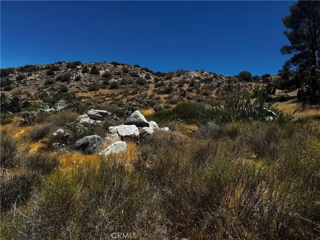 54025 Ridge, Yucca Valley
