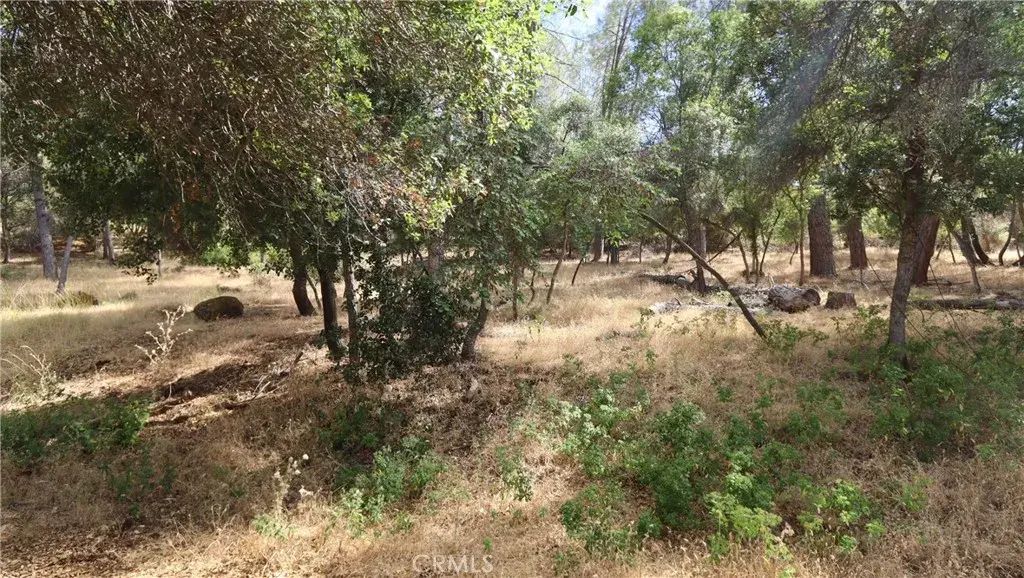 10465 Boren Bega, Kelseyville