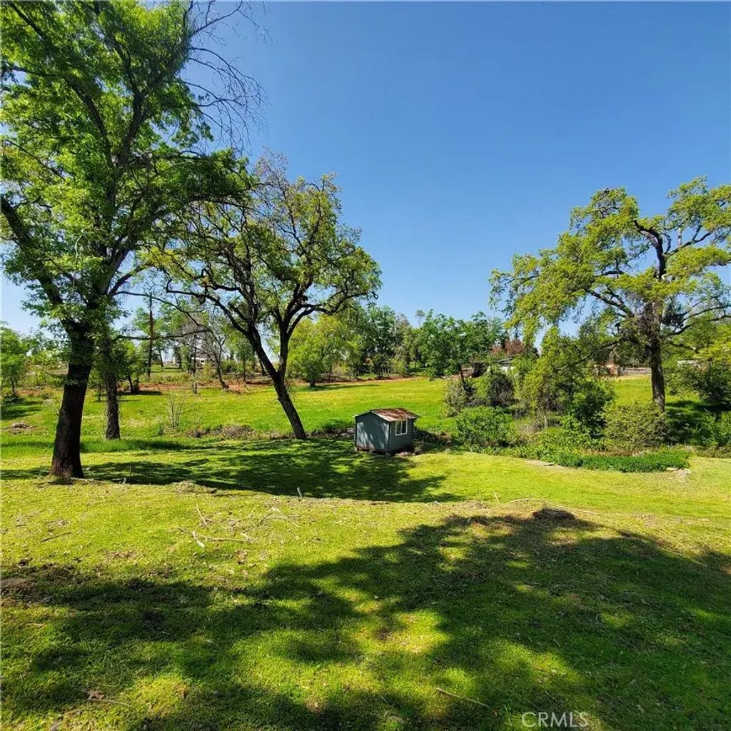 197 Roe, Paradise