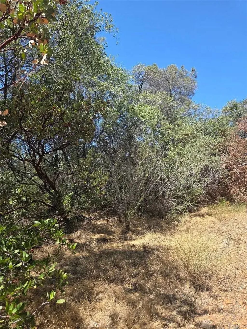 Roemelt, Oroville