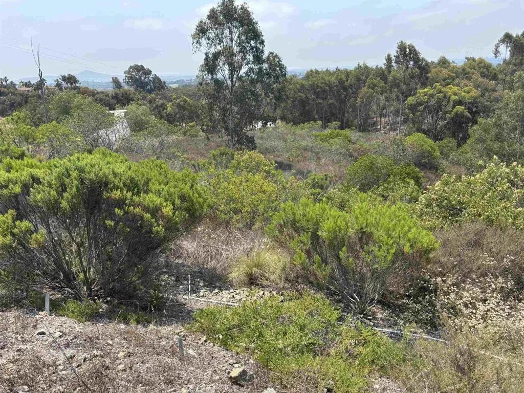 Lone Hill, Encinitas
