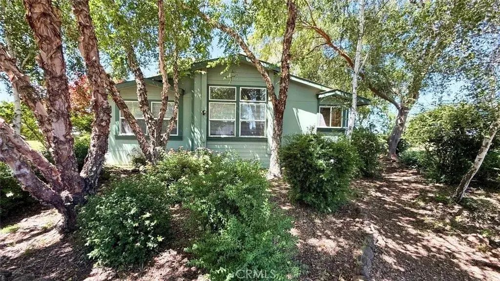 5438 Cana, Chico