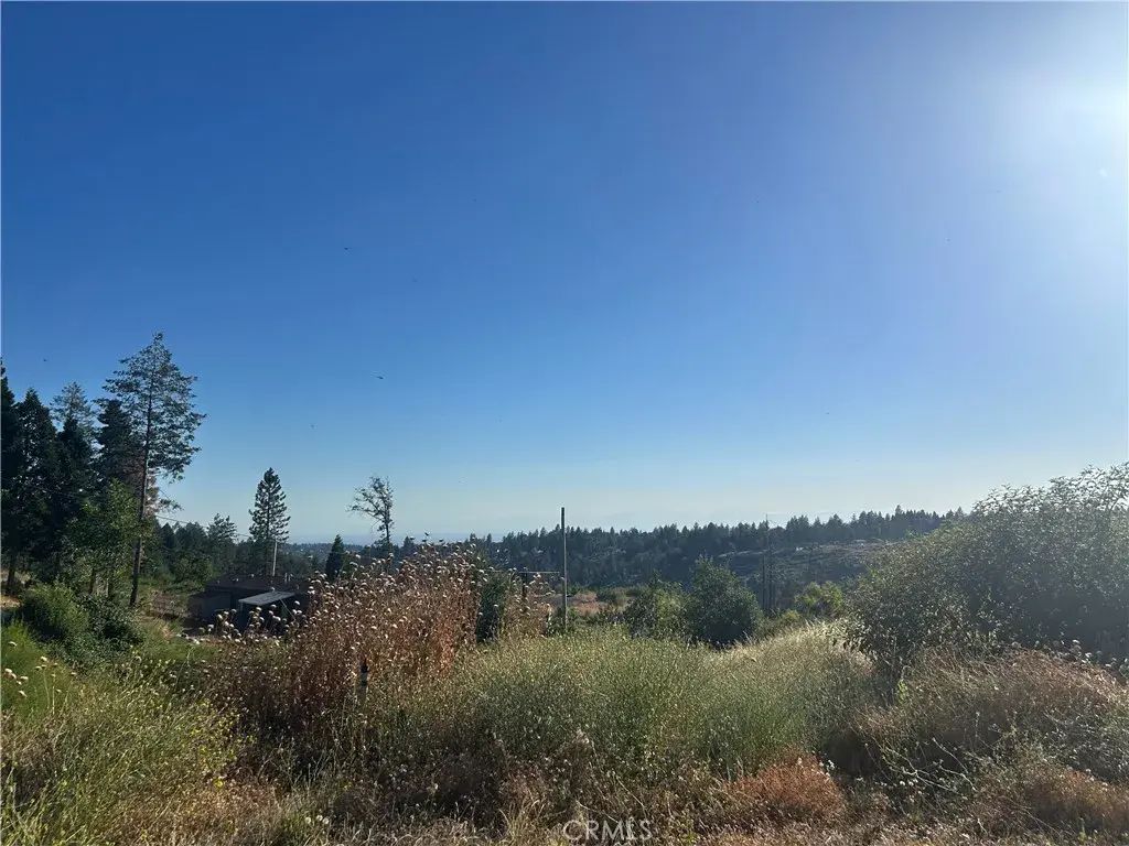 13753 Sugar Pine, Magalia