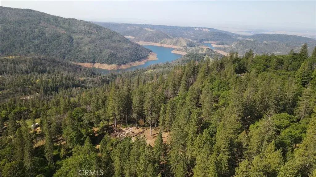 Bell Ranch, Berry Creek
