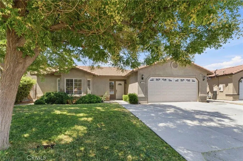 120 Arabian, Coalinga