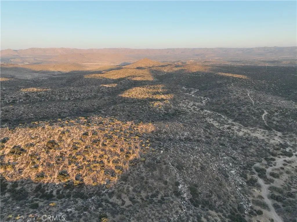 Desert Rose Ranch, Jacumba