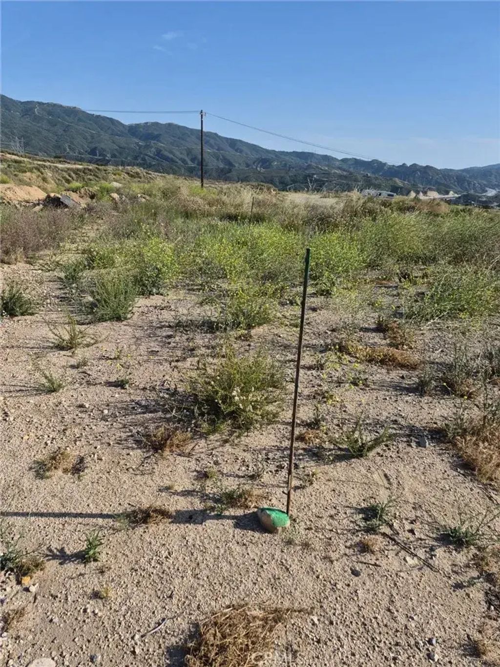 2833028006, Newhall