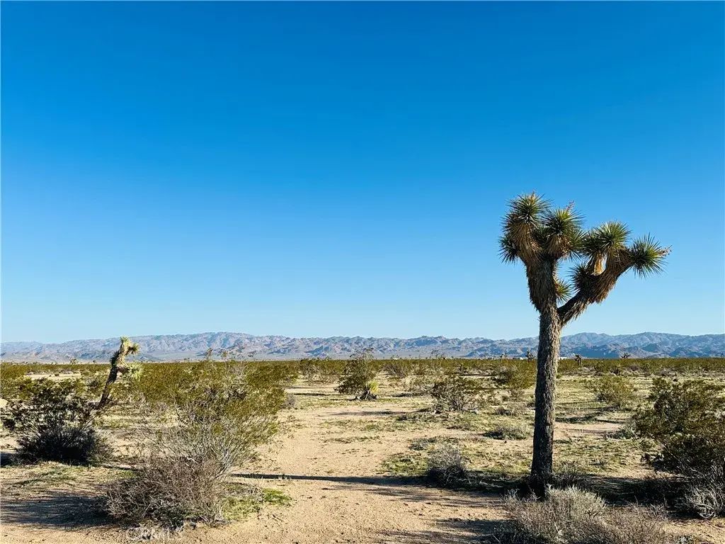 1974 Sunset, Joshua Tree