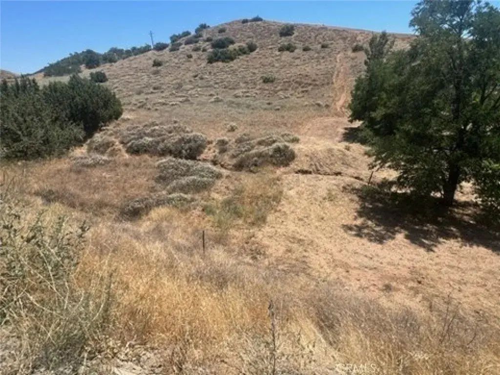 Sierra, Acton