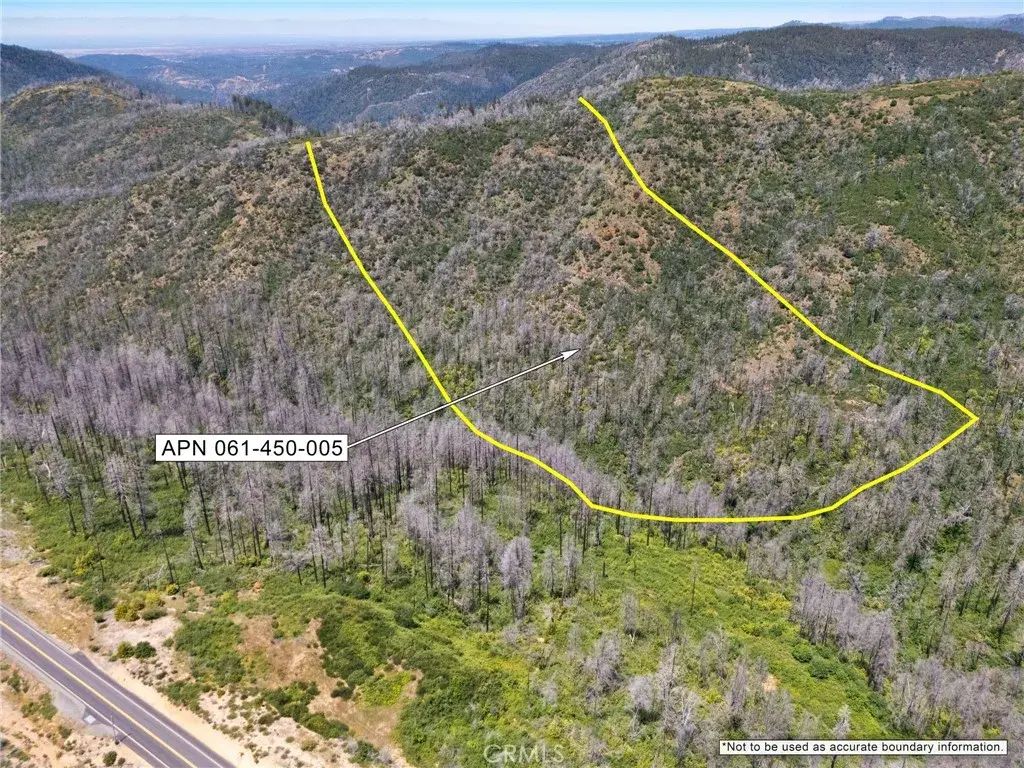 Stephens Ridge, Berry Creek