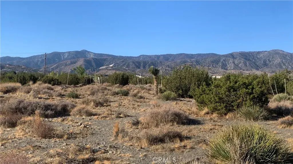 Yucca Terrace, Pinon Hills