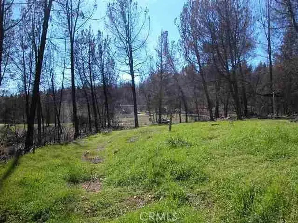 Buchner, Berry Creek