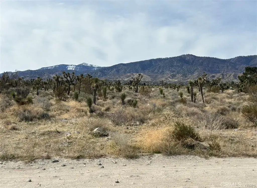 Mono, Pinon Hills
