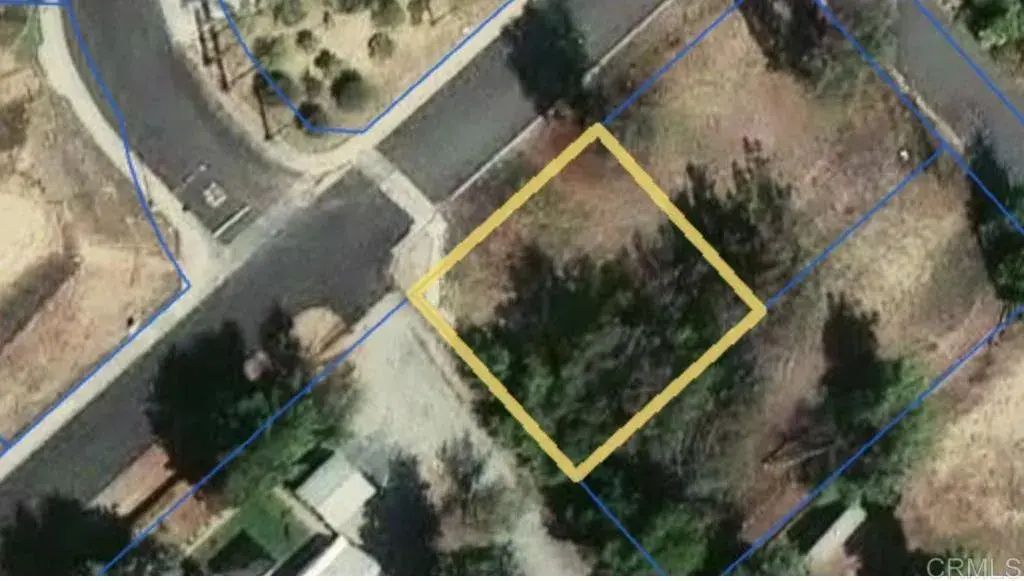 Juniper, Murrieta