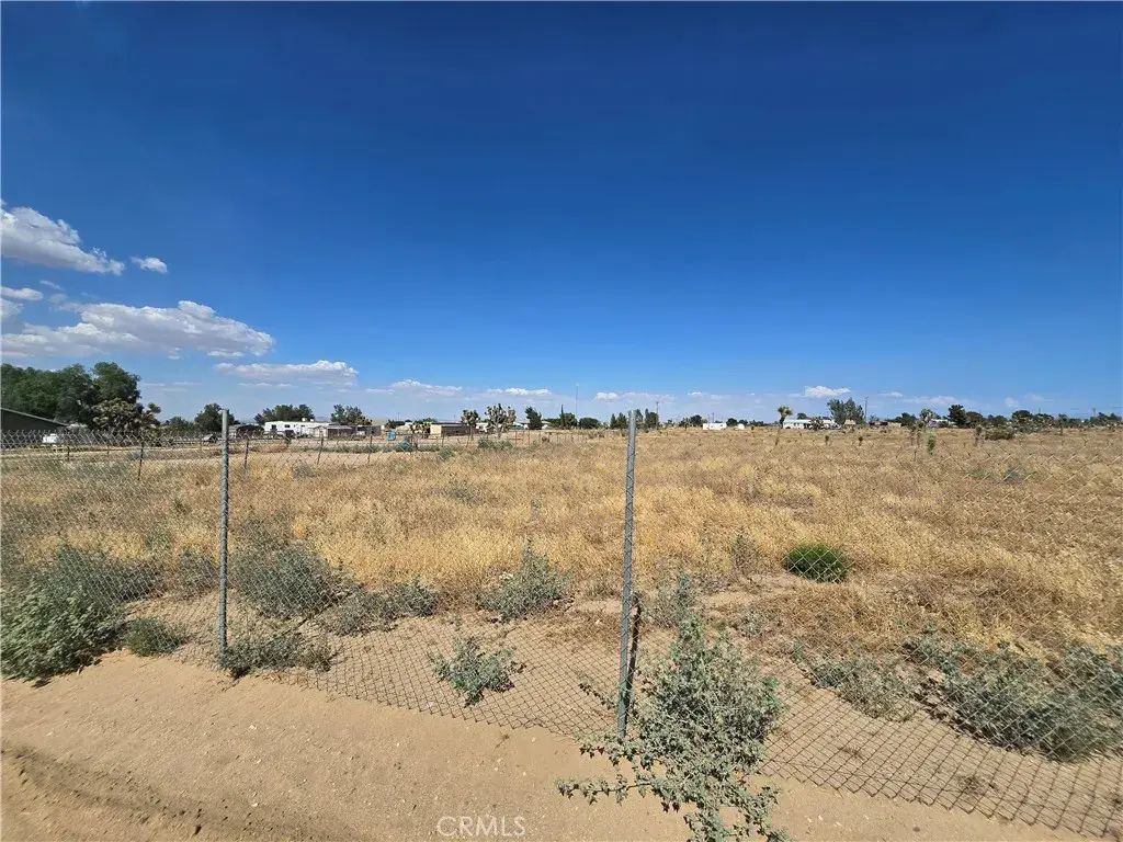 11025 Acanthus, Phelan