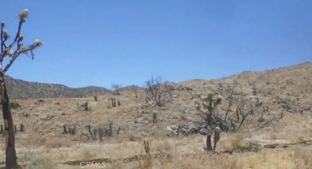 N Of Elata, Yucca Valley