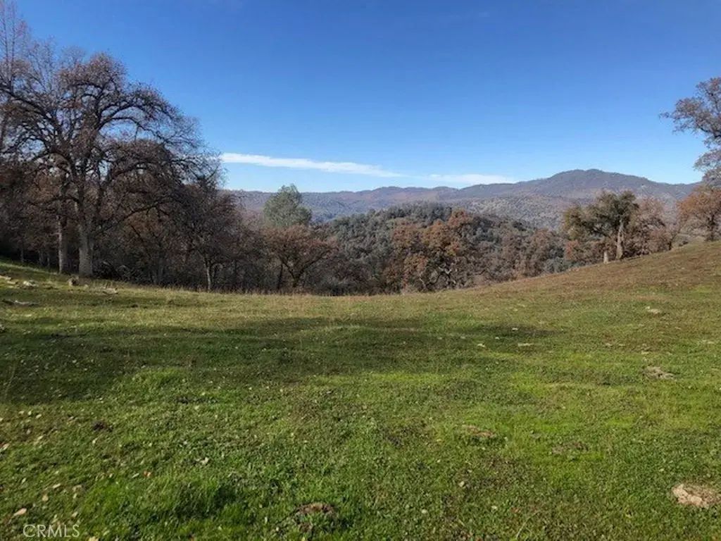 157 Mountain View Peak, O'neals