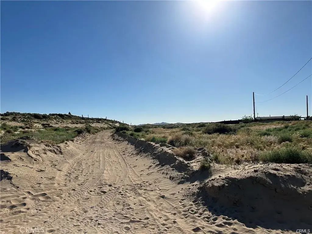 Birch, Barstow