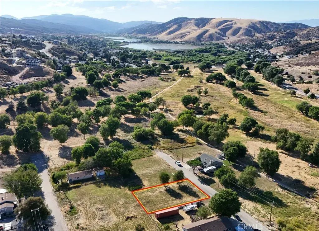 Ashtree, Lake Hughes