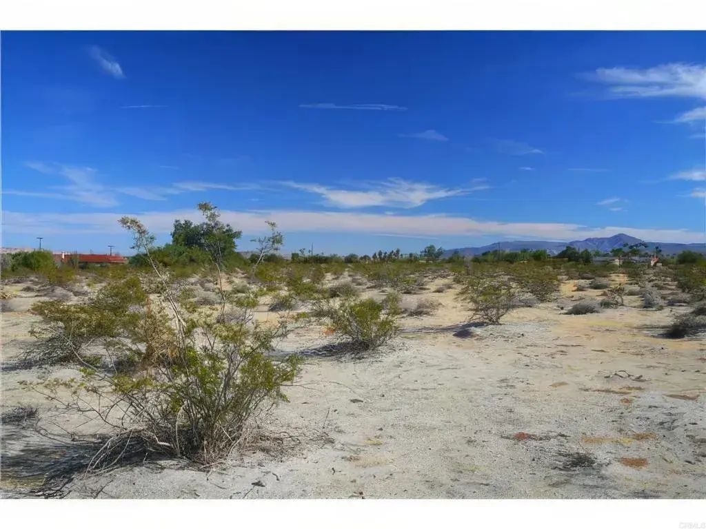 95 Saddle, Borrego Springs