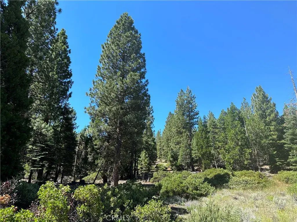 1 Canyon Creek Rd, California Pines