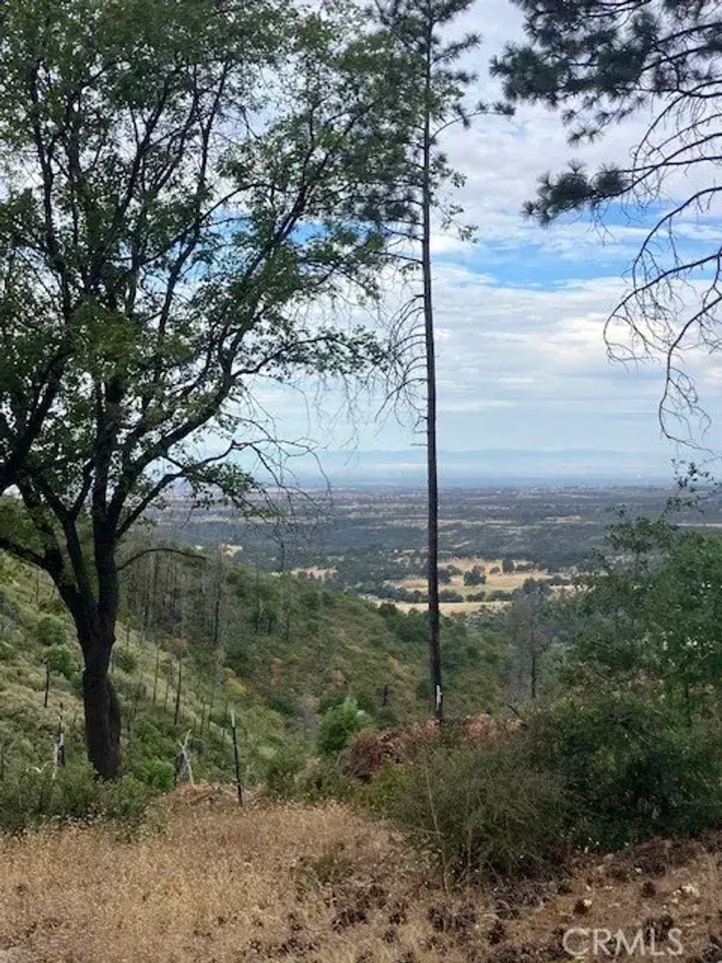11186 Dez, Oroville