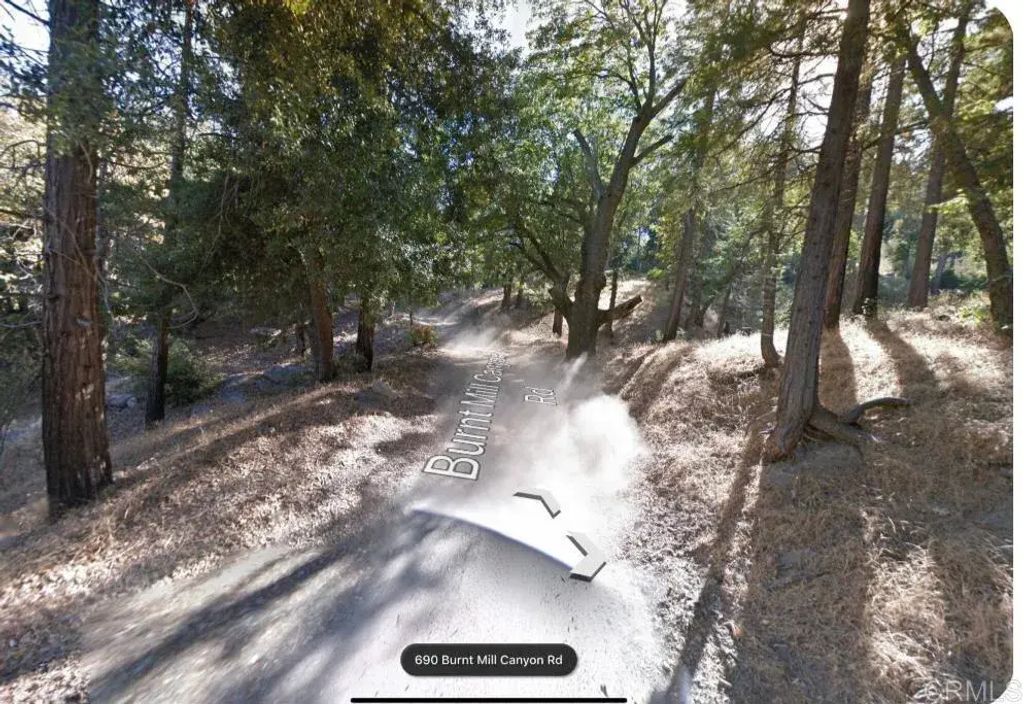 Burnt Creek Canyon, Cedarpines Park