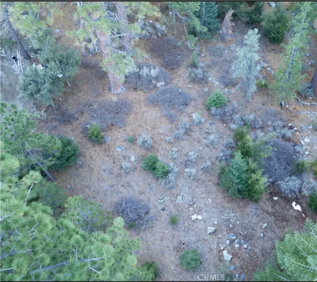15024 Chestnut, Pine Mountain Club
