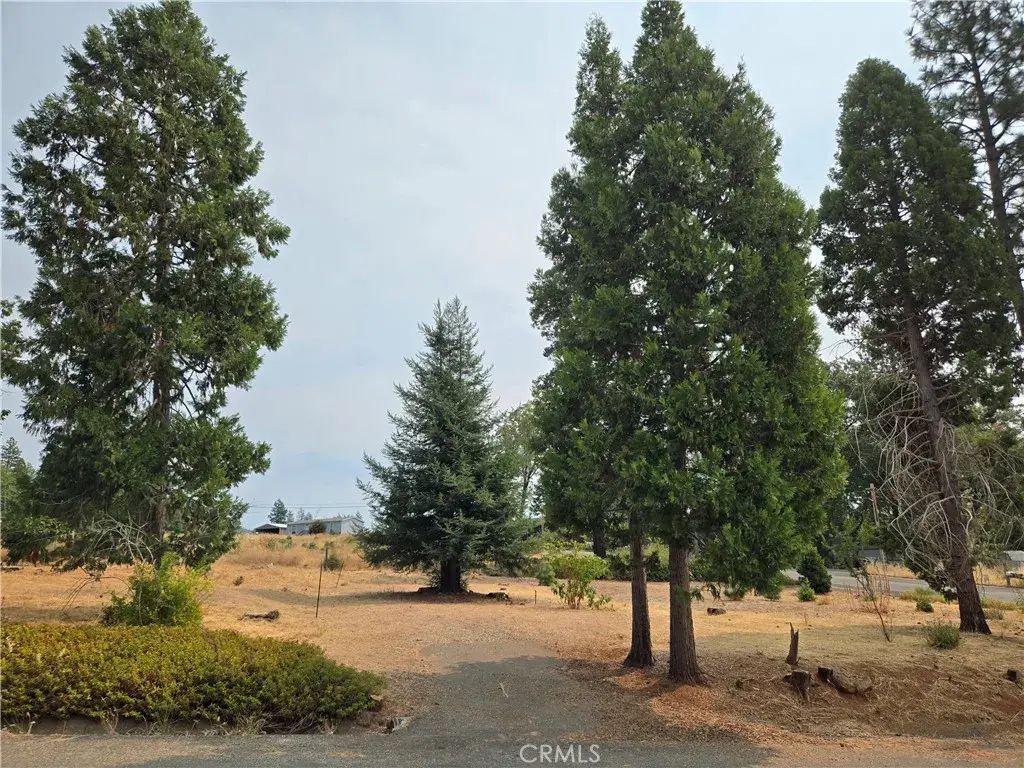 13549 S Park, Magalia
