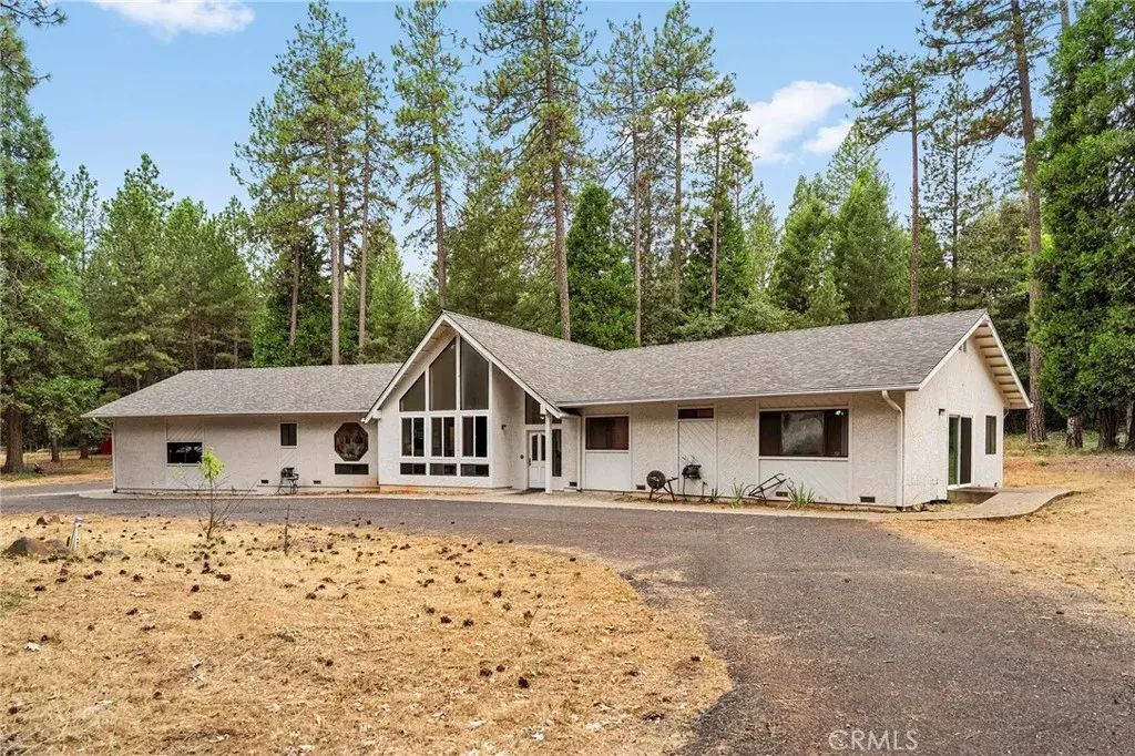 5875 Paschal, Magalia