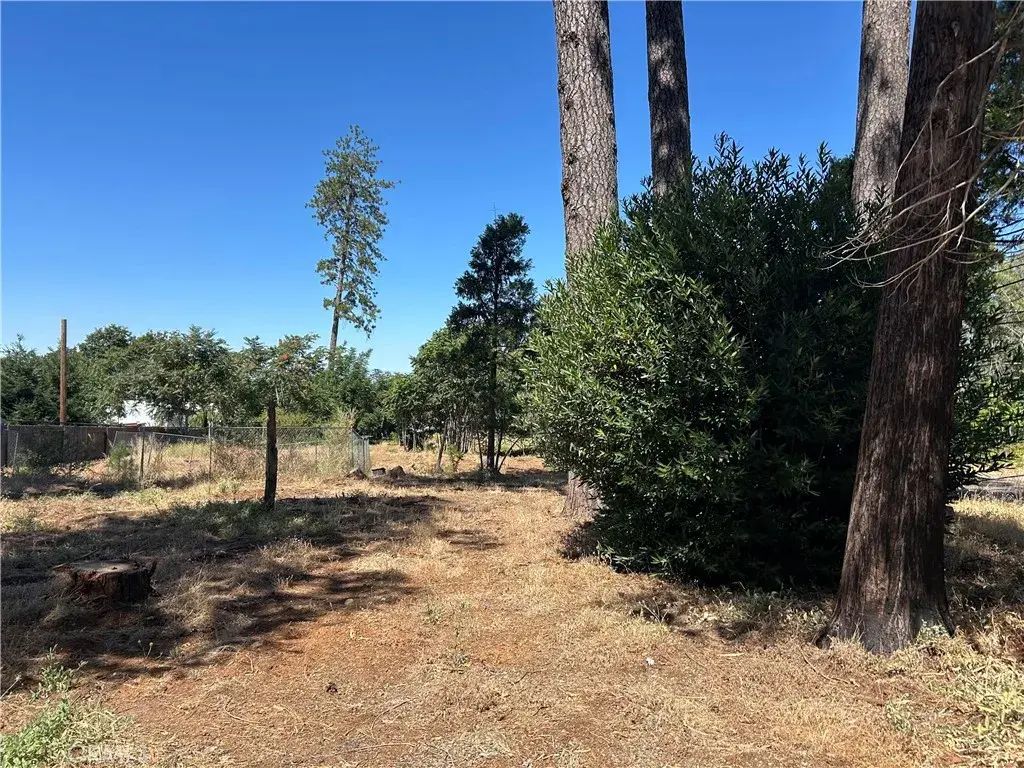5463 S Libby, Paradise
