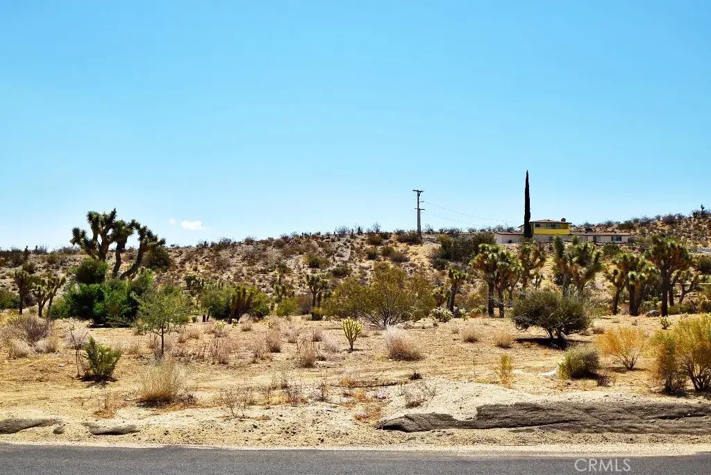 Joshua, Yucca Valley