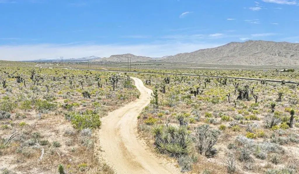 Near Sutter, Lucerne Valley