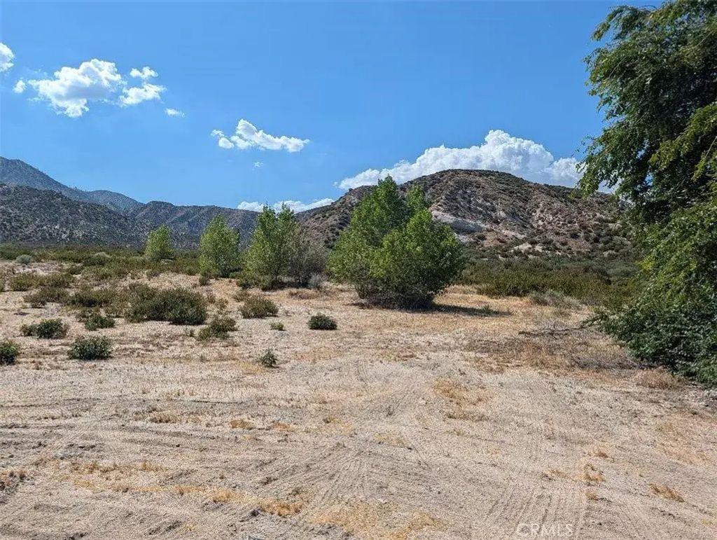6263 Dusty, Phelan